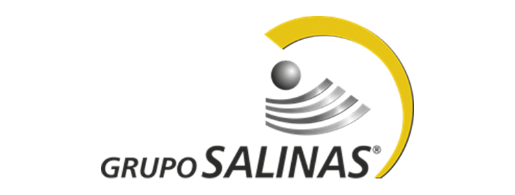 logo-grupo-salinas-BvK9R_fx